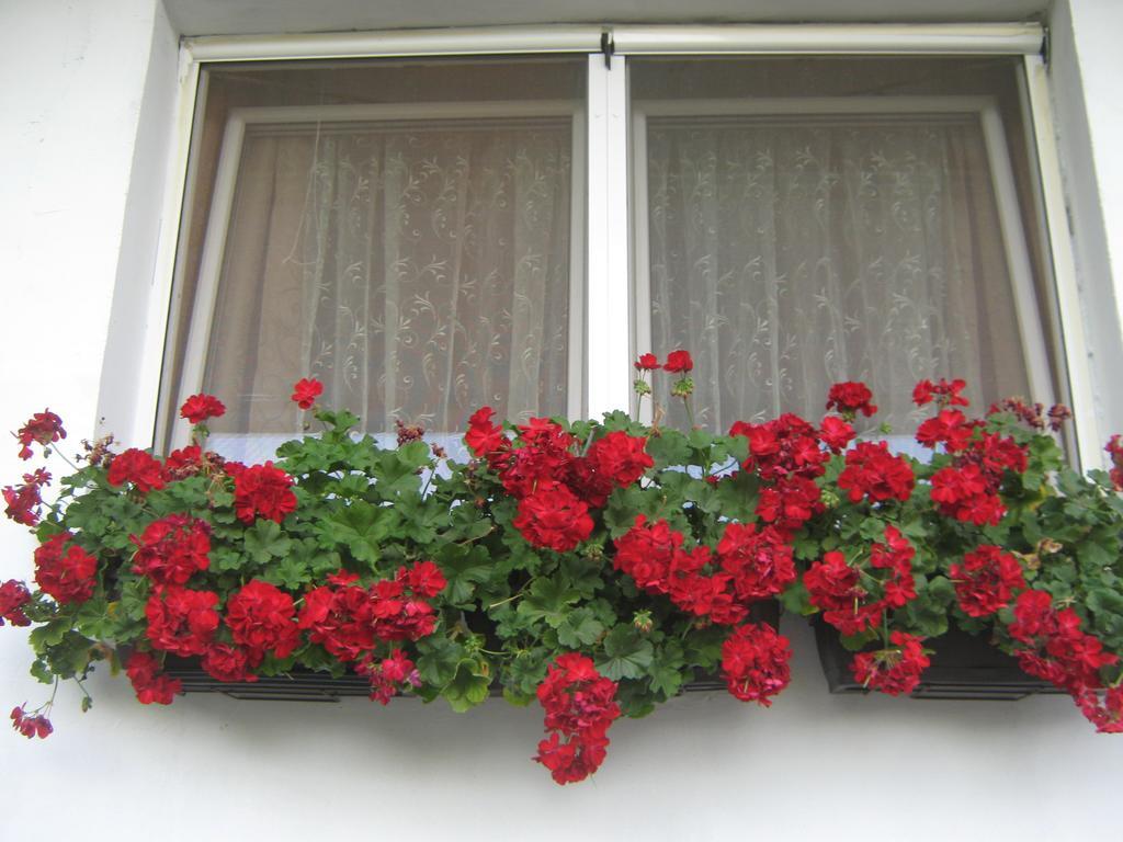 Apartment Vistanova Връдник Екстериор снимка